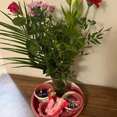 Pocahontas Rovaniemi